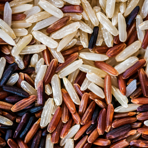 rice protein / baobab / amaranth peptide