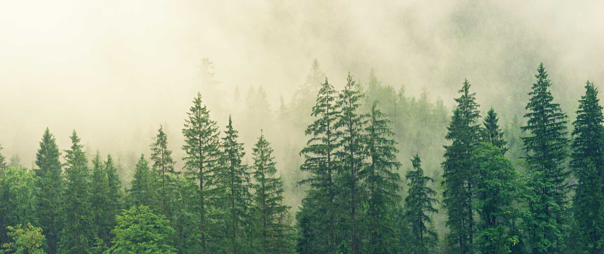 our stories / why b-corp? – Organic Colour Systems UK (OCS)